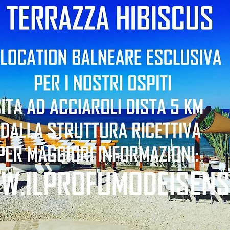 Il Profumo Dei Sensi