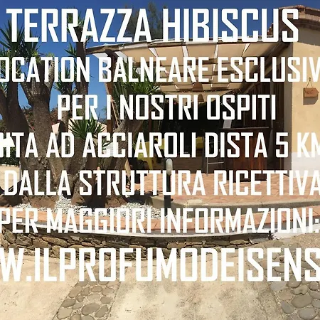 Il Profumo Dei Sensi Affittacamere Pollica