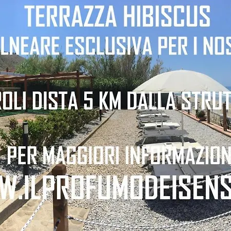 Il Profumo Dei Sensi
