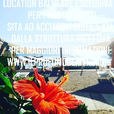 Il Profumo Dei Sensi