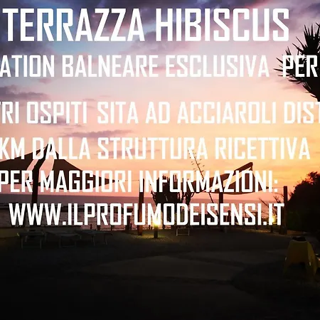 Il Profumo Dei Sensi
