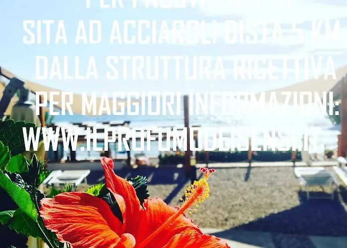 Il Profumo Dei Sensi