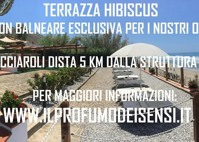 Il Profumo Dei Sensi